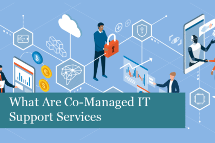 What Are Co-Managed IT Support Services
